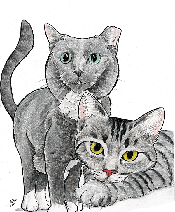 Cat Caricature Portrait