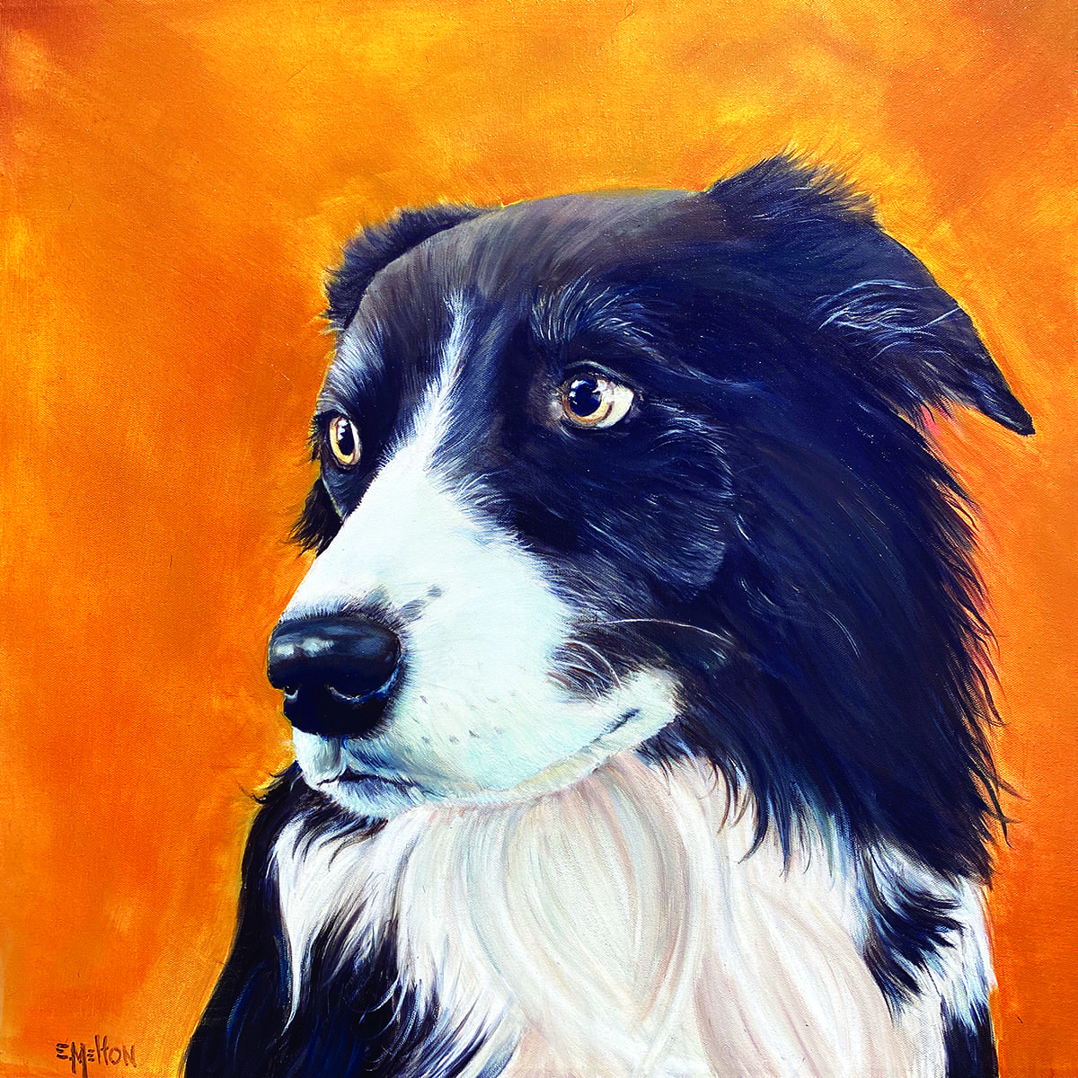 pet portraits