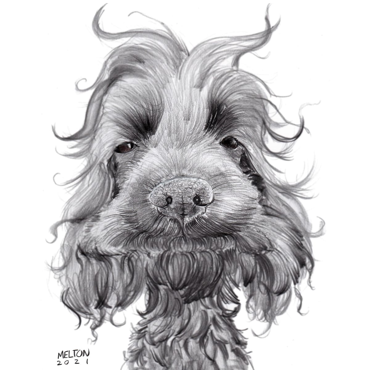 North Carolina Pet Caricature portrait.