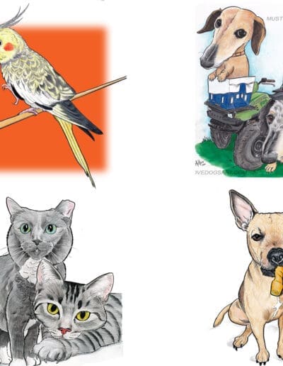 Pet Caricature Portraits NC